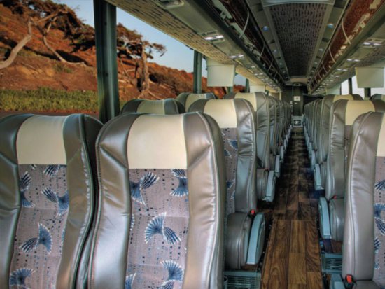 Plush reclining seats for every passenger - Limousine Boulder